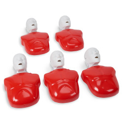 5 mannequins torse Ambu Basic Buddy adulte