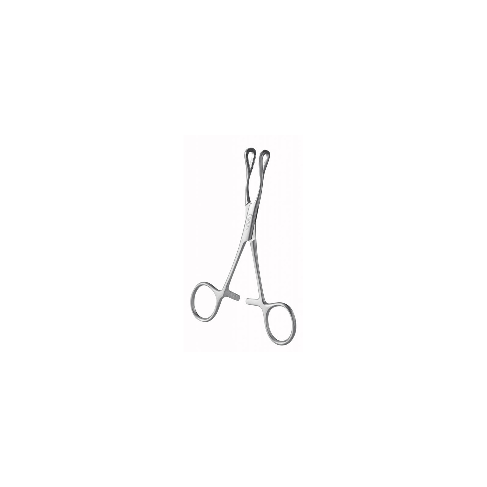 Pince Hémostatique Chirurgicale Courbée - Acier Inoxydable - Pour Soins Animaux Ou Bricolage - Neuf