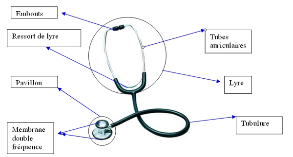 stéthoscope