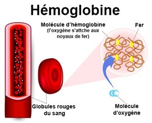 Oxymètre de Doigt pour analyse Saturation Oxygène dans le sang, Appareils  de mesure